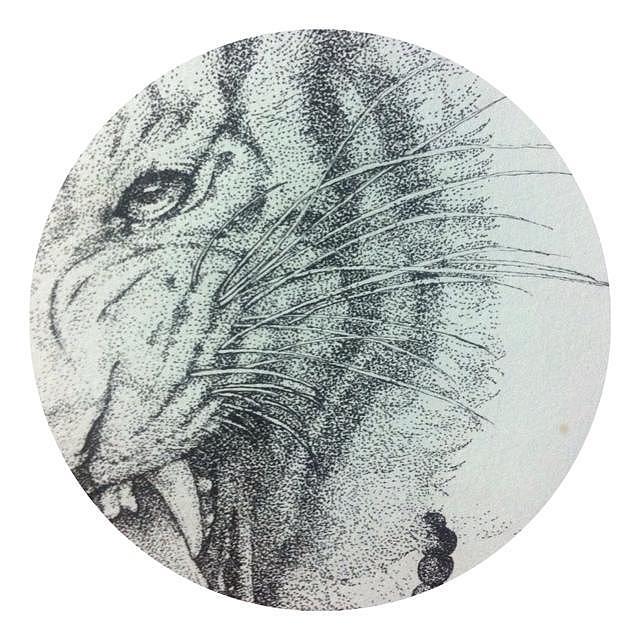 画虎画皮难画骨,万里春归山水欢是什么生肖的全面释义、解释与落实、统计解答解释落实